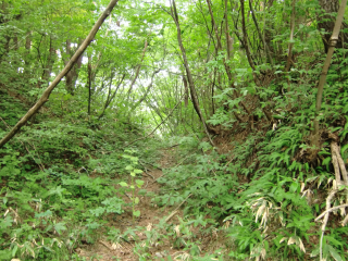 大峰城の登城記録(dougenさん)