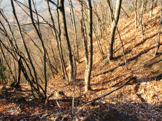 麻績城の登城記録(dougenさん)