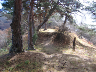真田本城の登城記録(dougenさん)