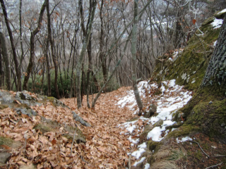 丸子城の登城記録(dougenさん)