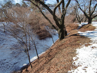 春日城〈伊那郡〉の登城記録(dougenさん)