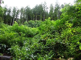 葛山城の登城記録(dougenさん)