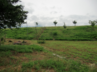 長沼城の登城記録(dougenさん)