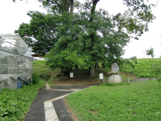 長沼城の登城記録(dougenさん)