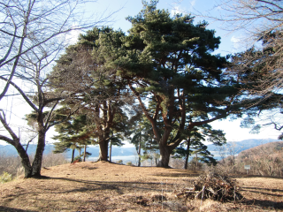 桑原城の登城記録(dougenさん)