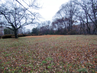 福与城の登城記録(dougenさん)