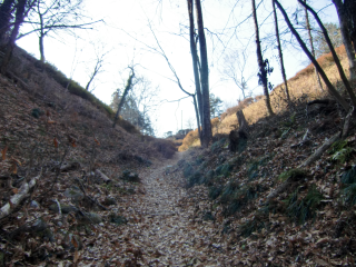 大嶋城（大島城）の登城記録(dougenさん)