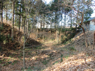 大嶋城（大島城）の登城記録(dougenさん)