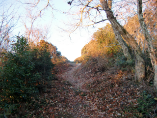 三岳城の登城記録(dougenさん)