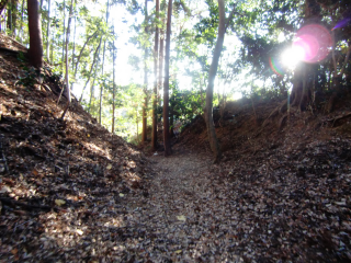 佐久城の登城記録(dougenさん)