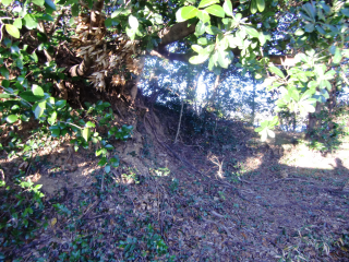 野地城の登城記録(dougenさん)