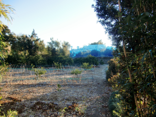 野地城の登城記録(dougenさん)