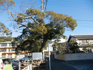 気賀陣屋の登城記録(dougenさん)