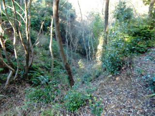 大平城の登城記録(dougenさん)