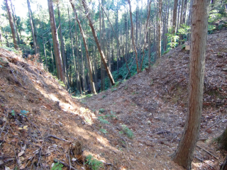 大平城の登城記録(dougenさん)
