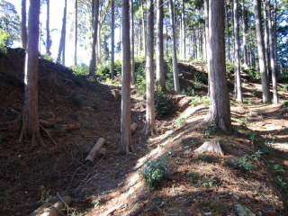 犬居城の登城記録(dougenさん)