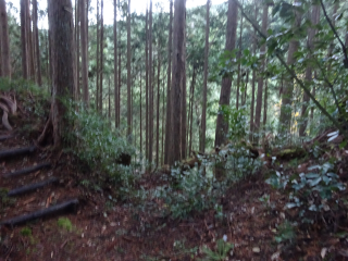 石神城の登城記録(dougenさん)