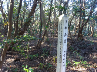 三井山砦の登城記録(dougenさん)