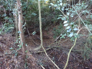 岡崎城の登城記録(dougenさん)