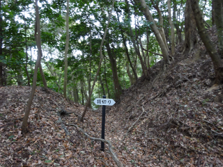 高橋城（天ヶ谷城）の登城記録(dougenさん)