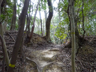高橋城（天ヶ谷城）の登城記録(dougenさん)