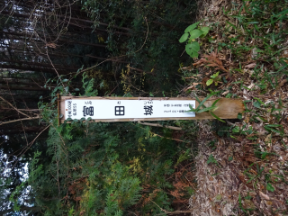 富田城の登城記録(dougenさん)