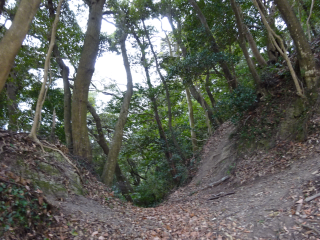 堀田城の登城記録(dougenさん)