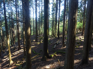 徳山城の登城記録(dougenさん)
