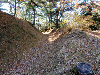 天方城の登城記録(dougenさん)