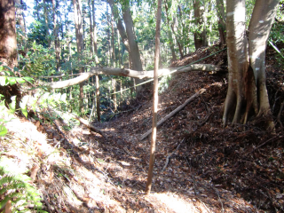 真田城の登城記録(dougenさん)