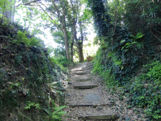 蒲原城の登城記録(dougenさん)