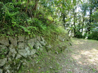 蒲原城の登城記録(dougenさん)