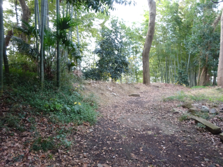 阿野館の登城記録(dougenさん)