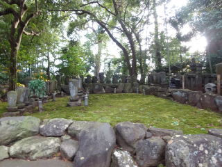 阿野館の登城記録(dougenさん)