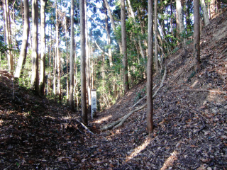 花倉城の登城記録(dougenさん)