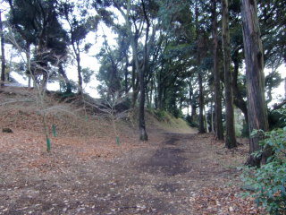 葛山城の登城記録(dougenさん)