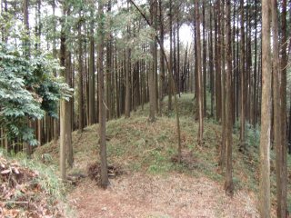 葛山城の登城記録(dougenさん)