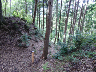 狩野城の登城記録(dougenさん)