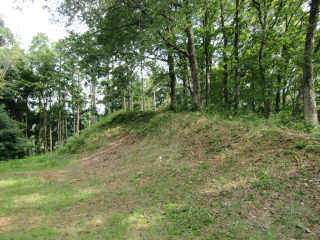 狩野城の登城記録(dougenさん)