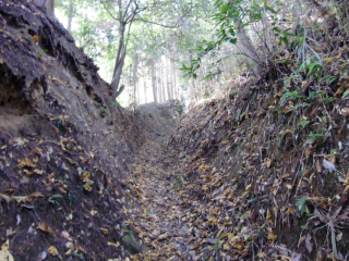 上赤坂城の登城記録(dougenさん)