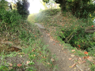 下赤坂城の登城記録(dougenさん)