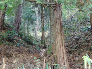 小倉山城の登城記録(dougenさん)