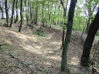 山上城の登城記録(dougenさん)