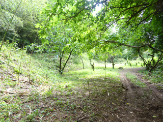 明徳寺城の登城記録(dougenさん)