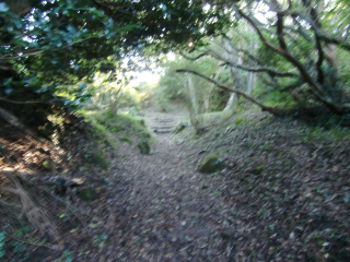 土肥城の登城記録(dougenさん)