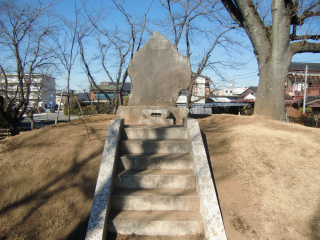 多賀谷城の登城記録(dougenさん)