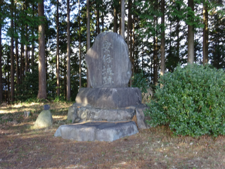 安倍城の登城記録(dougenさん)