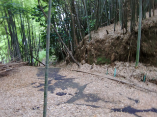 今井城（今井砦）の登城記録(dougenさん)