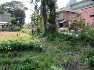 厚木城の登城記録(dougenさん)