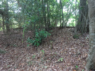 上の山城の登城記録(dougenさん)